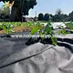 Weed control cloth